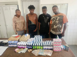 ZVIBABA ZVEBRONCO NEMUTORIRO: 4 more massive drug suppliers arrested in Mbare