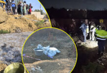 Shocking discovery: 3 more dead bodies discovered in Budiriro sewer pool, Mayor Mafume orders immediate investigation (WATCH VIDEO)