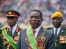 Silence in the Barracks: Mnangagwa’s 2030 Plot Gives Army Generals Sleepless Nights as MPs ‘get US$10k each’ to vote for CAB3