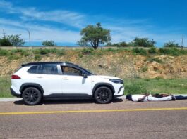 8 years in prison: Court finally ends Tshabangu’s business of stealing Toyota cars in South Africa and selling them in Zimbabwe
