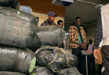 Hard-working Southerton Police Catch Truck Driver with 1 Tonne of Mbanje, Shocking Multi-Million Dollar Drug Empire Exposed (VIDEO)