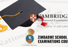 Every student to write Zimsec exams: Cambridge University and Ministry of Education fight as government bans Cambridge alternative