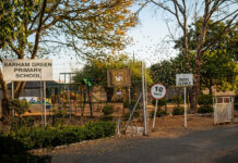 Chaos at Barham Green Primary School as African bees sting learners, 52 people are now fighting for life in hospital