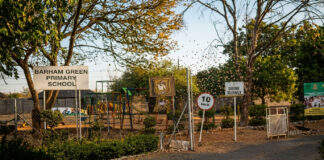 Chaos at Barham Green Primary School as African bees sting learners, 52 people are now fighting for life in hospital