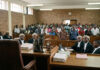Juju suspected: Mysterious cat halts murder trial in Bulawayo High Court…. bees ruthlessly attack people at Mbale High Court (VIDEO)
