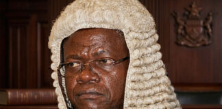 UYU ANYURA UYU! – Pretending to be Newly-Appointed Deputy Chief Justice Paddington Garwe Seriously Backfires for Martin Rashai