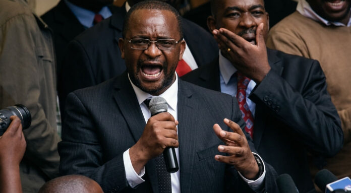 douglas mwonzora speech and nelsom chamisa background