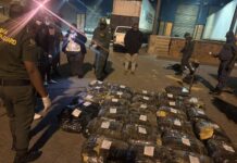 THE BILLION-RAND BUST: Inside the Secret “ABBA” Drug Pipeline at Beitbridge