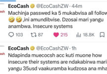 IS YOUR MONEY SAFE?! EcoCash HACKER Unleashes Explicit Rant and Pornographic Content on Their Twitter Account Over $35