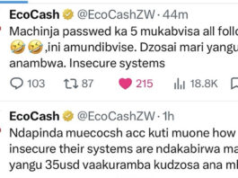 IS YOUR MONEY SAFE?! EcoCash HACKER Unleashes Explicit Rant and Pornographic Content on Their Twitter Account Over $35