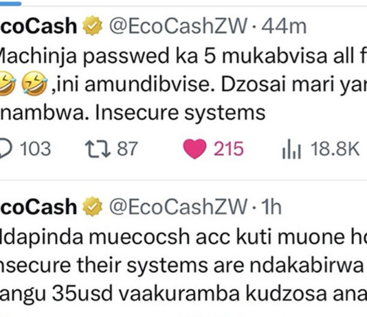 IS YOUR MONEY SAFE?! EcoCash HACKER Unleashes Explicit Rant and Pornographic Content on Their Twitter Account Over $35