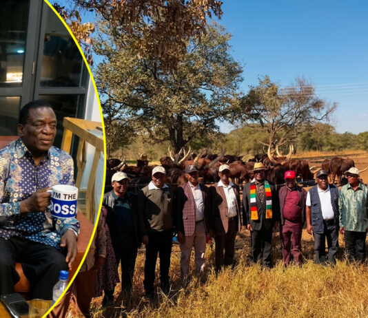 “I’M THE BOSS”: Defiant President Mnangagwa shows powerful General Chiwenga at his farm