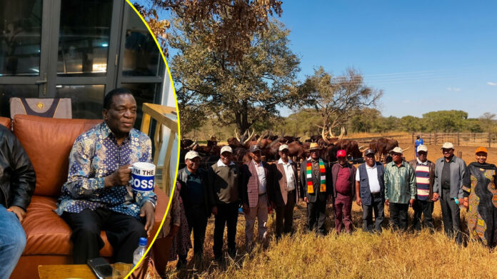 im the boss - mnangagwa and security ministers and service chiefs at his farm