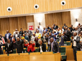 ZVAYENDWA as Parliament Votes YES for CAB 3 and the 216 Individuals Who Grabbed Zimbabweans Right to Choose Their President