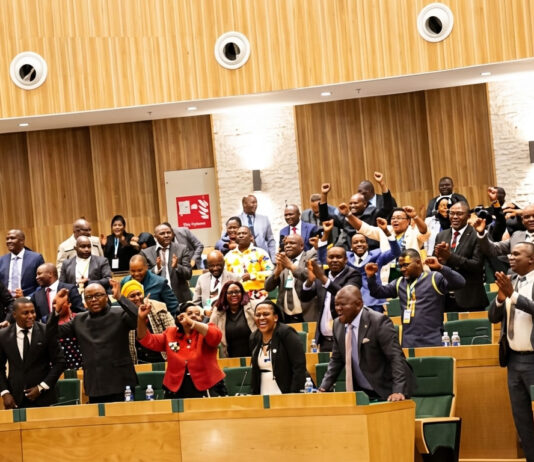 There will be ‘baptism of fire’ once CAB3 is finalised: President Mnangagwa’s high-ranking ally hints