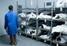 Lupane Mortuary Mystery: 16 Unknown Dead Bodies and the Dark Secrets They Hold!