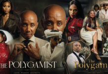The Polygamist’s Global Conquest: How a Bulawayo Lula Lula Story Secretly Conquered the Netflix World