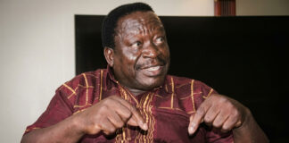 Ambassador Victor Matemadanda’s Mysterious Death: Was it Illness, or a Deeper Political Plot?