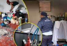 Illegal Foreigner’s Desperate Measures: Zimbabwean Man Found Living Inside High-Voltage Power Substation in Joburg (VIDEO)