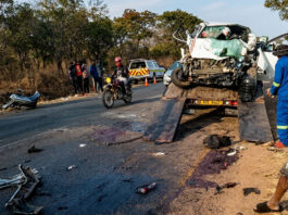 6 people die as mum and her 2 young kids survive deadly kombi and Toyota probox head-on accident