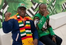 From Jail to the State House: The Shocking Rise of Dilesh Nguwaya as President Mnangagwa’s New Advisor