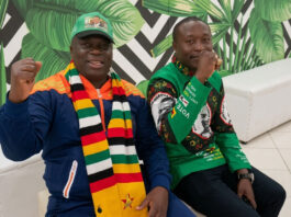 From Jail to the State House: The Shocking Rise of Dilesh Nguwaya as President Mnangagwa’s New Advisor