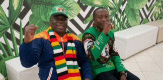 From Jail to the State House: The Shocking Rise of Dilesh Nguwaya as President Mnangagwa’s New Advisor