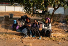 Mt Pleasant Homeless Mother’s Desperate Plea: Multiple Harare men want to have lula lula with me and my 3 daughters