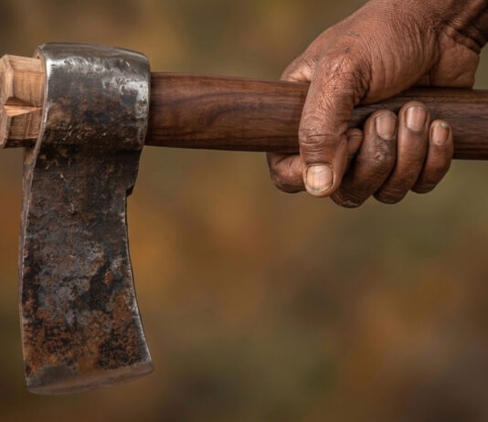 Bulawayo man ruthlessly kills wife, leaves axe stuck in her head, then beats his kids to stage robbery scene
