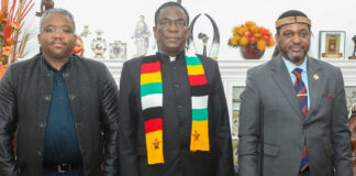 Royal Secrets: The Real Reason The Zulu King Met Mnangagwa In A High-Level ‘Emergency’ Visit
