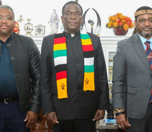 Royal Secrets: The Real Reason The Zulu King Met Mnangagwa In A High-Level ‘Emergency’ Visit