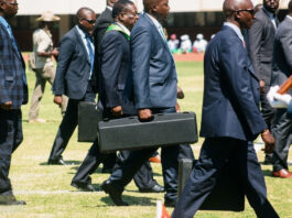 Escalating Crackdown on Zimbabwe’s Opposition Amidst Constitutional Upheaval: CIOs Thoroughly Beat up MPs
