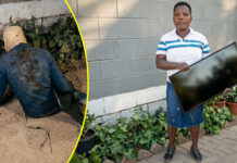 Chinhoyi Thief Returns Stolen TV, Begs for Mercy as Lots of Bees Torment Him After Family Consulted a Powerful Sangoma (VIDEO)