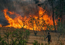Final Destination Movie-Style Death: Buhera Man Burnt to Ashes