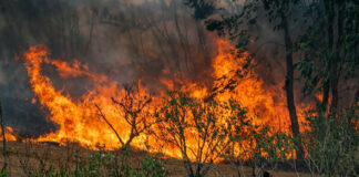 Final Destination Movie-Style Death: Buhera Man Burnt to Ashes