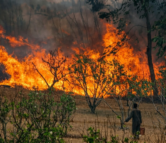 Final Destination Movie-Style Death: Buhera Man Burnt to Ashes