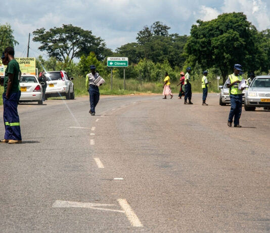 810 ZiG fine for driving a light motor vehicle with a Class 2 Drivers Licence along Harare-Bulawayo road: Government Speaks out