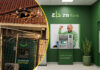 Armed robbers hit ZB Bank AGAIN and flee with lots of cash after shooting Fawcett security guard in the chest