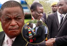 Constitutional Amendment 3: Mnangagwa appoints Kuda Tagwirei as Minister of Economic Development and Investment Promotion