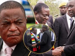 Constitutional Amendment 3: Mnangagwa appoints Kuda Tagwirei as Minister of Economic Development and Investment Promotion