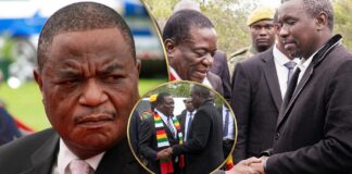 Constitutional Amendment 3: Mnangagwa appoints Kuda Tagwirei as Minister of Economic Development and Investment Promotion