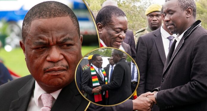 chiwenga-tagwirei-and-mnangagwa-sharpened