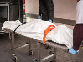 Massive and deadly flu mistaken for COVID-19 hits Zimbabwe and kills 5 people in Bulawayo