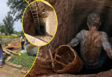 8 Men Arrested for Running a Massive Illegal Mining Operation in Marlborough for 4 Years
