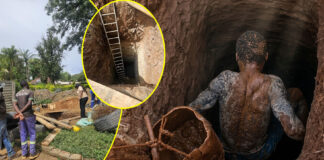8 Men Arrested for Running a Massive Illegal Mining Operation in Marlborough for 4 Years