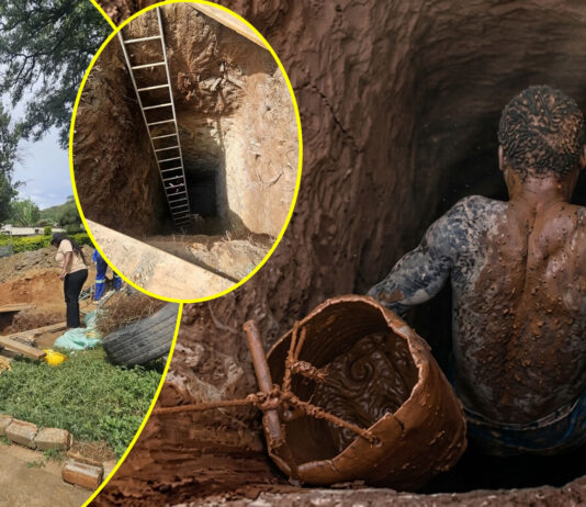 More details on Borrowdale mbinga who was arrested for running a massive mining project in Marlborough suburb