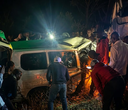 Deaths at Ngundu blackspot hours after prayers were held there: 7 people killed in Probox and Wish mushikashika head-on accidents