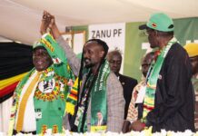 ‘Not too famous to be sued’: Bryn Taurai Mteki fumes as High Court auctions household furniture over unpaid child’s school fees