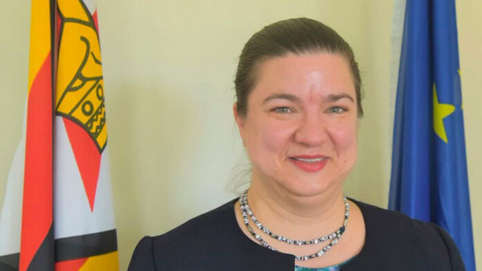 Katrin Hagemann European Union ambassador to Zimbabwe