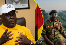 Chiwenga’s ally, General Rugeje refuses to be appointed Zimbabwe’s ambassador to Mozambique following Nyikayaramba and Matemadanda’s deaths
